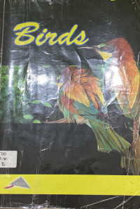 Image of Birds