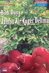 Image of Budi Daya Jambu Air Kaget Delima